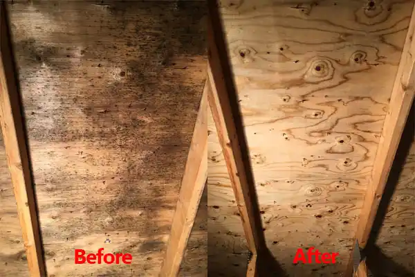 water damage restoration service Arlee